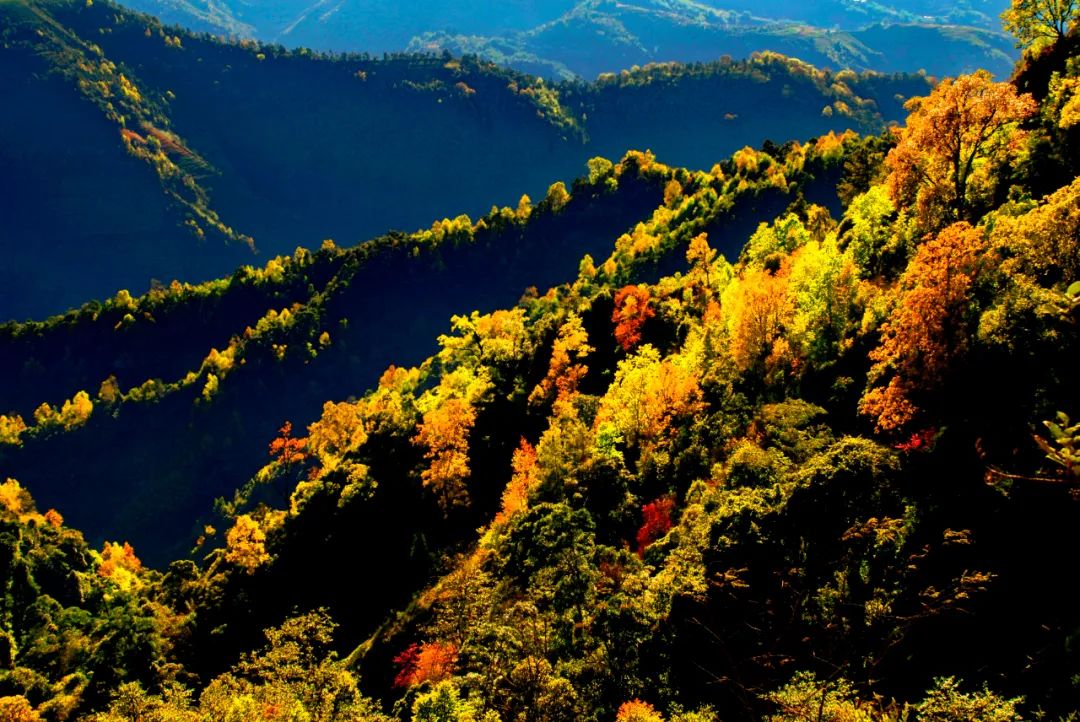 昆明七彩云南怎么样,七彩云南避暑家园