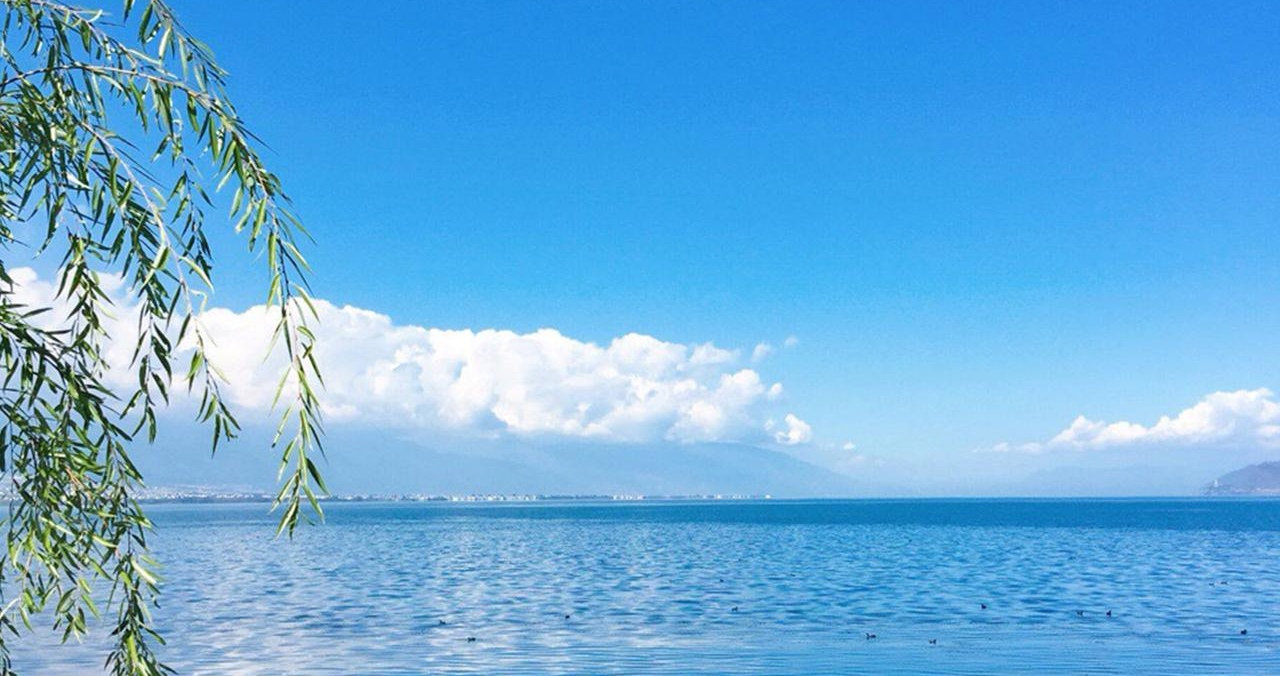 老娘的幸福从来都是自己给的,我的老娘