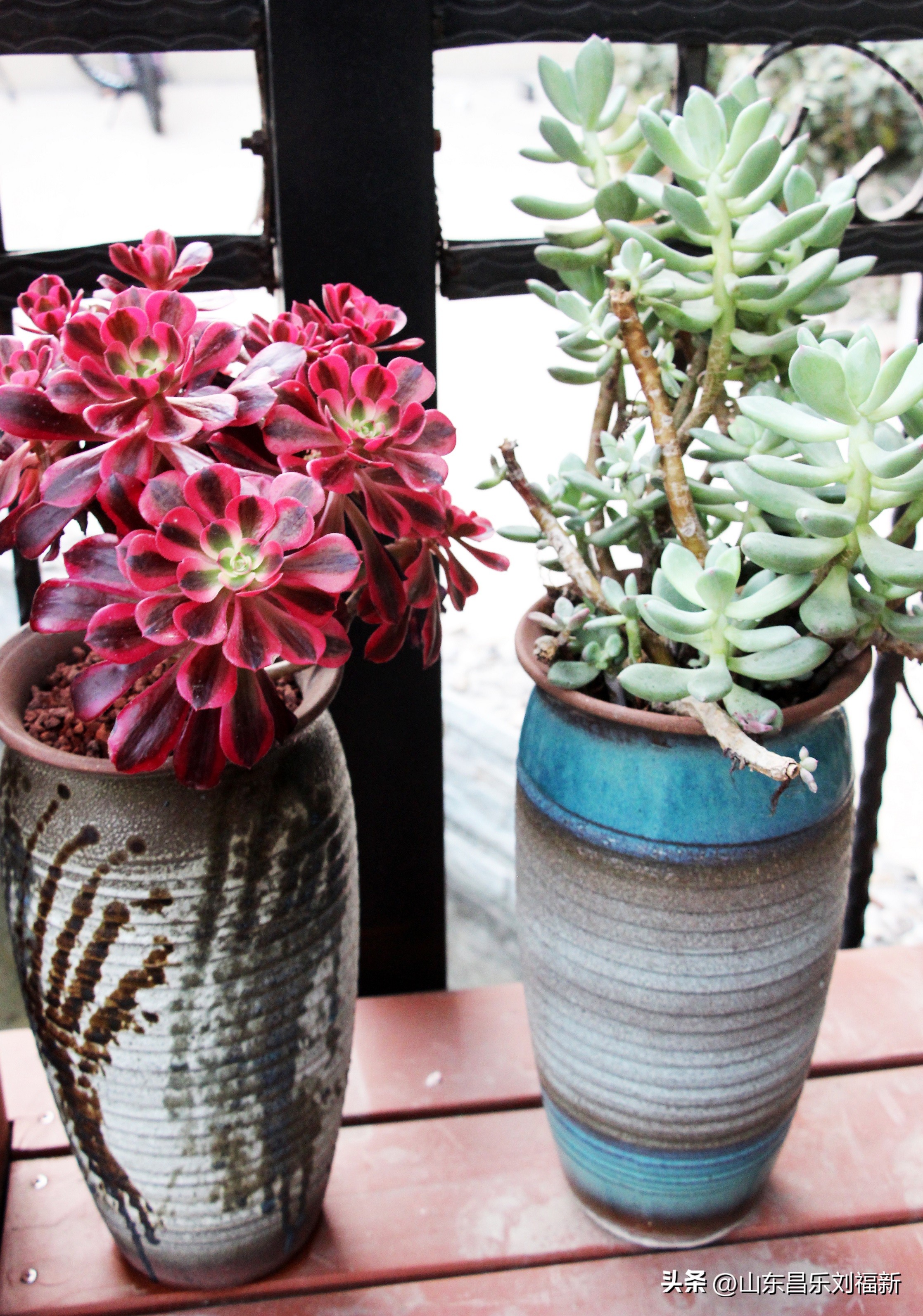 2023年3月中旬散拍·一点儿感受