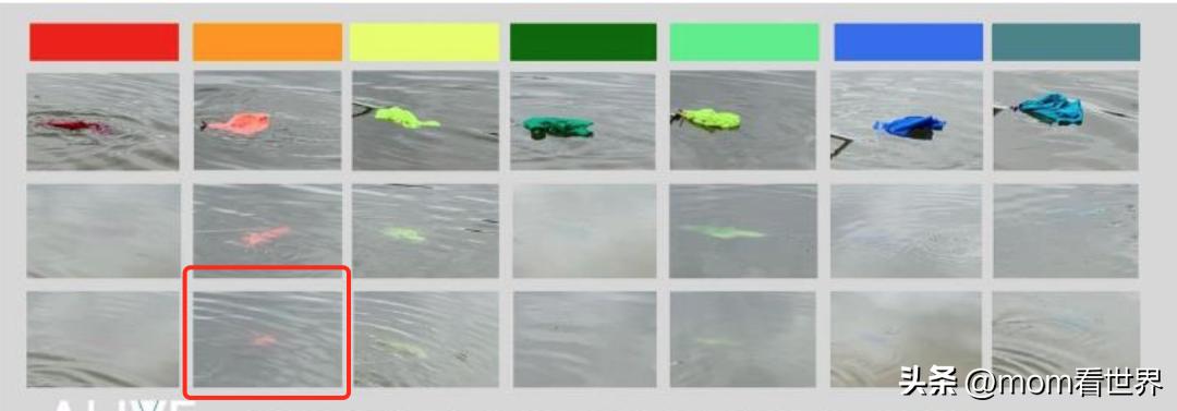 儿童泳衣买什么颜色比较安全,不要给小孩买蓝色泳衣