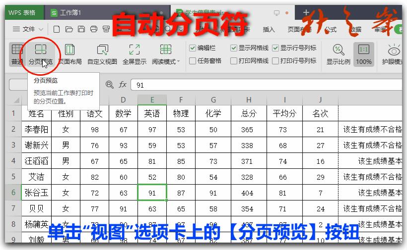 wps自学作图入门教程,wps表格页面布局怎么调