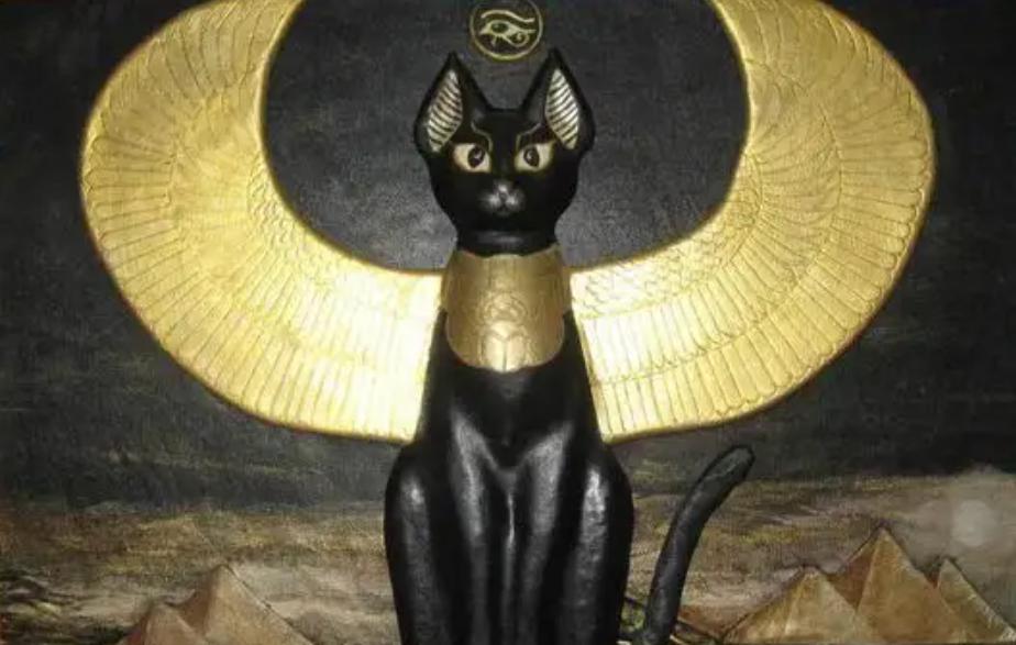 为什么猫咪交配时，公猫要死死咬住母猫的后颈？母猫的声音太凄惨