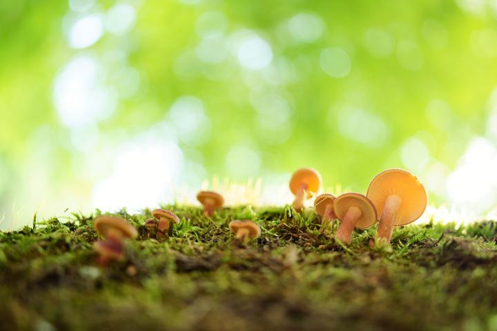 腾龙85mm定焦镜头副厂推荐,18-200腾龙镜头和原厂镜头对比