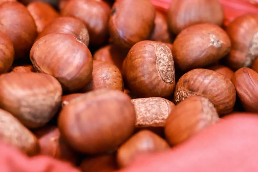 来了，2022太仓栗子不完整种草指南