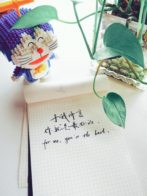 爱是一种相知相守的陪伴,爱是懂得和偶尔陪伴就足够