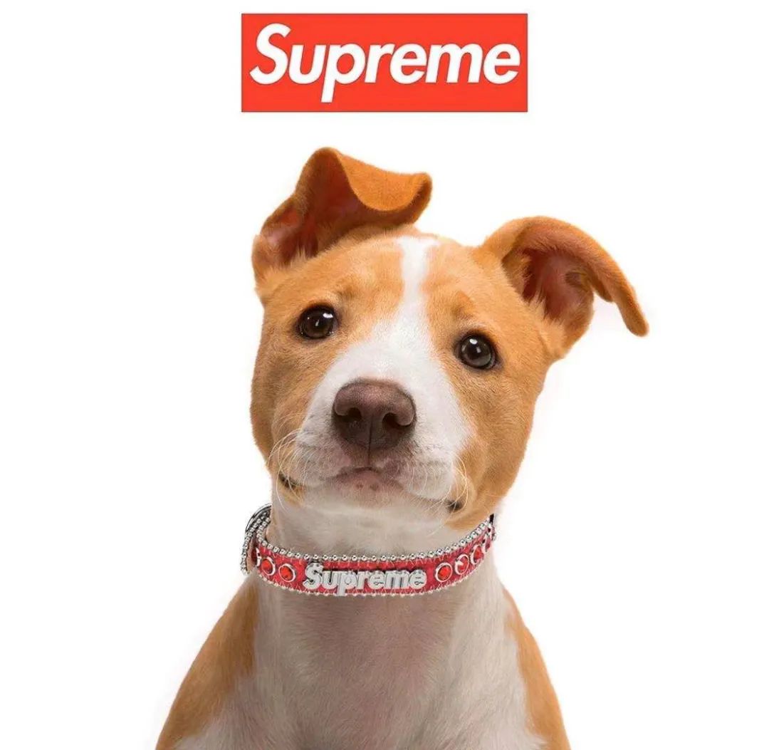 supreme第一周单品详情,supreme穿搭预告