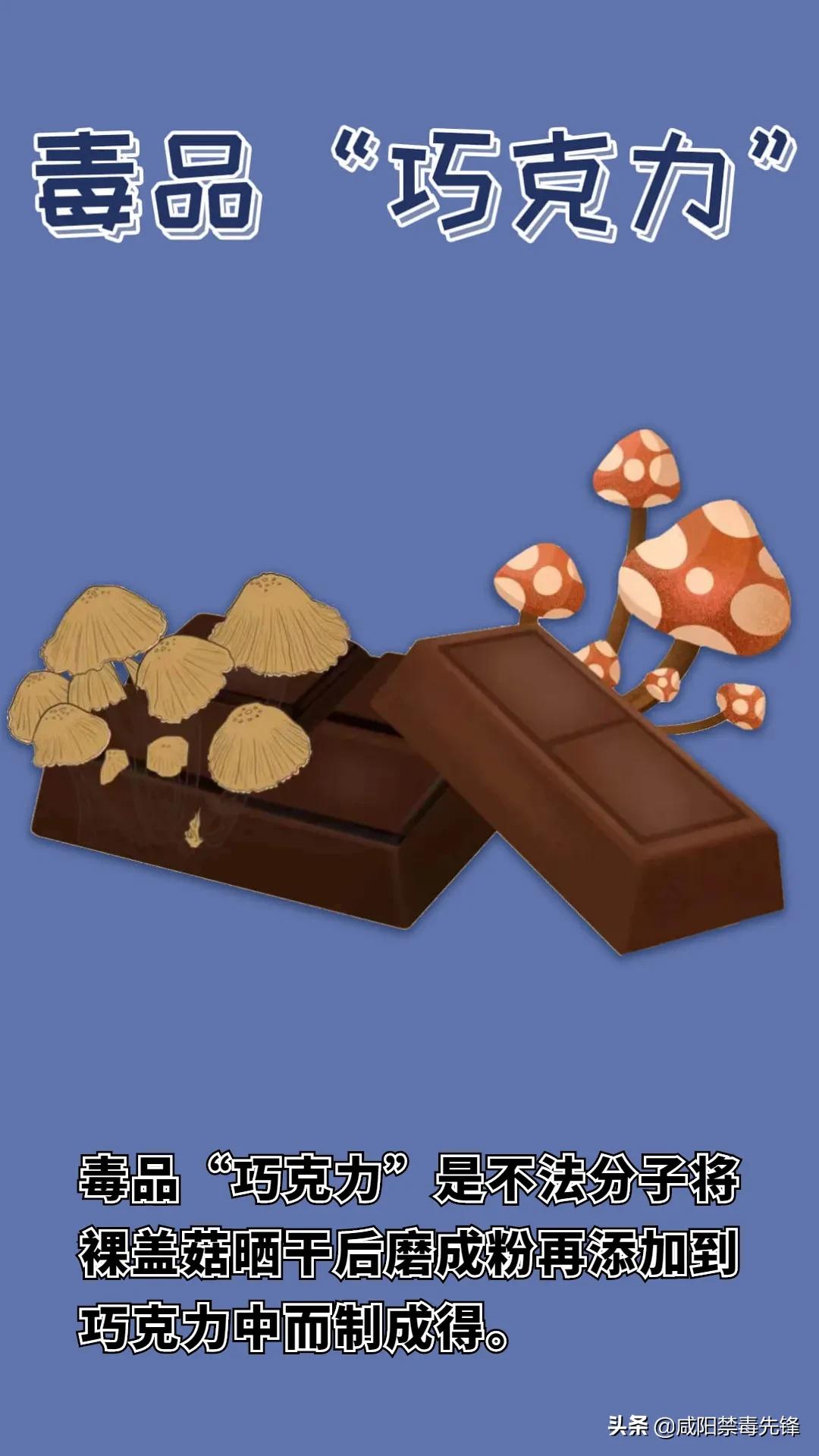 警方查获有毒有害减肥药,减肥药被警方查获里面违禁品