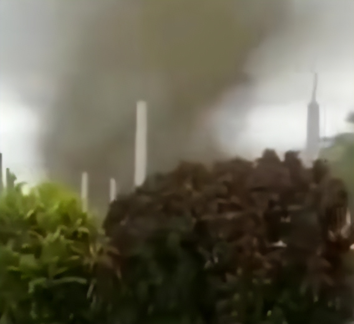 成都一草坪惊现上百条蚊卷风,成都惊现蚊卷风奇观