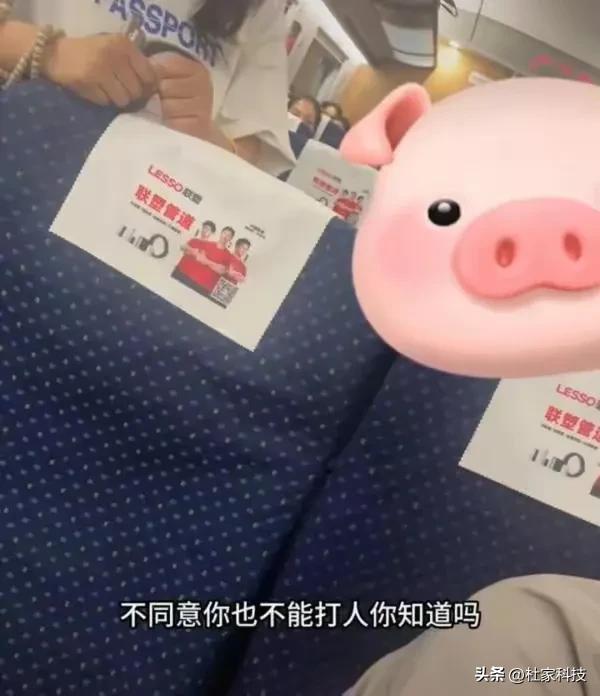 高铁被打女孩事件完整版最新消息,高铁打人事件被打女孩