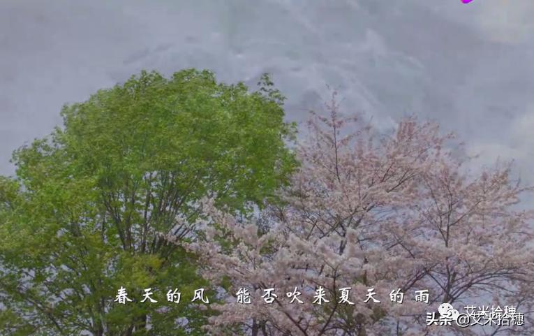 10首中小学生喜欢的热门歌曲