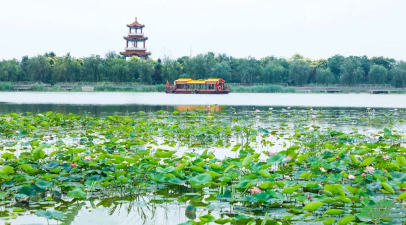 天津天然氧吧曙光水镇,天津曙光水镇好玩吗