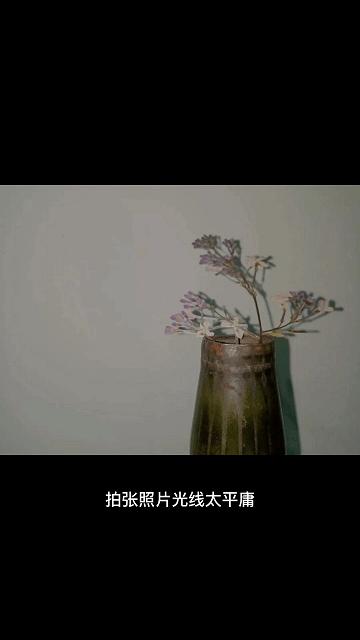 手机版最强大的后期修图神器,苹果神仙修图软件免费