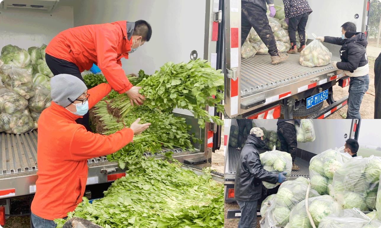奉献爱心助力学子,奉献爱心全力助农