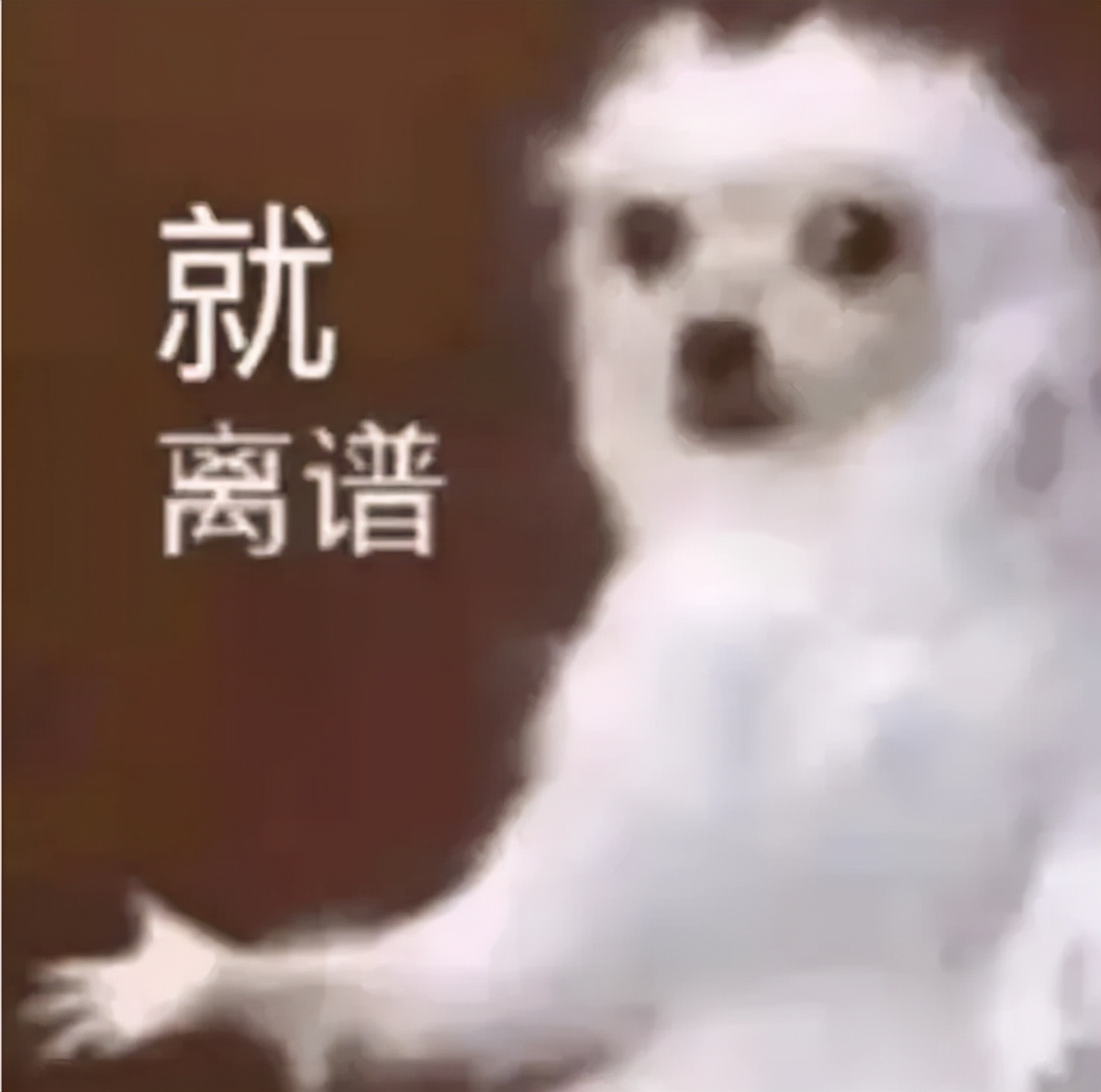 破解被跟卖的秘籍来了！跟卖方的死法原来是这样的