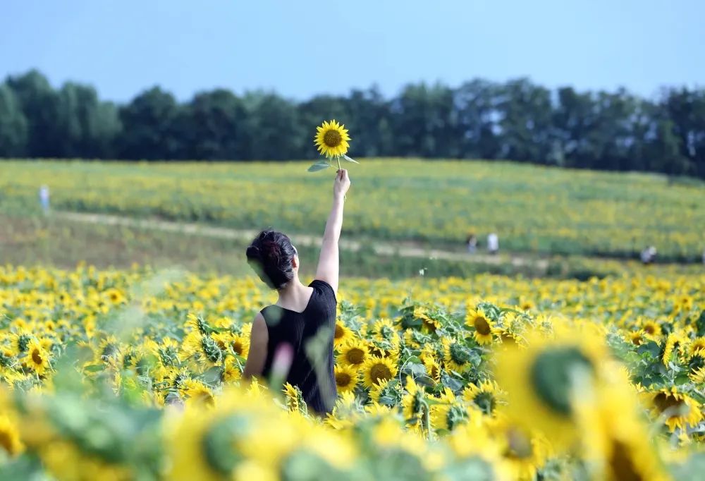 有趣的灵魂：你知道春天的花儿到底为谁开放吗？