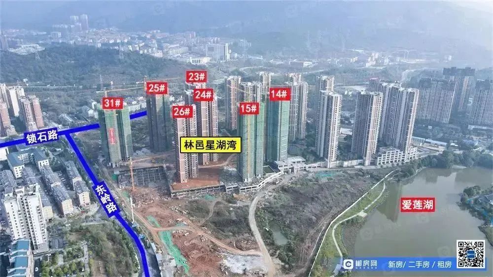 郴州爱莲湖星湖湾楼王,大师兄说楼市