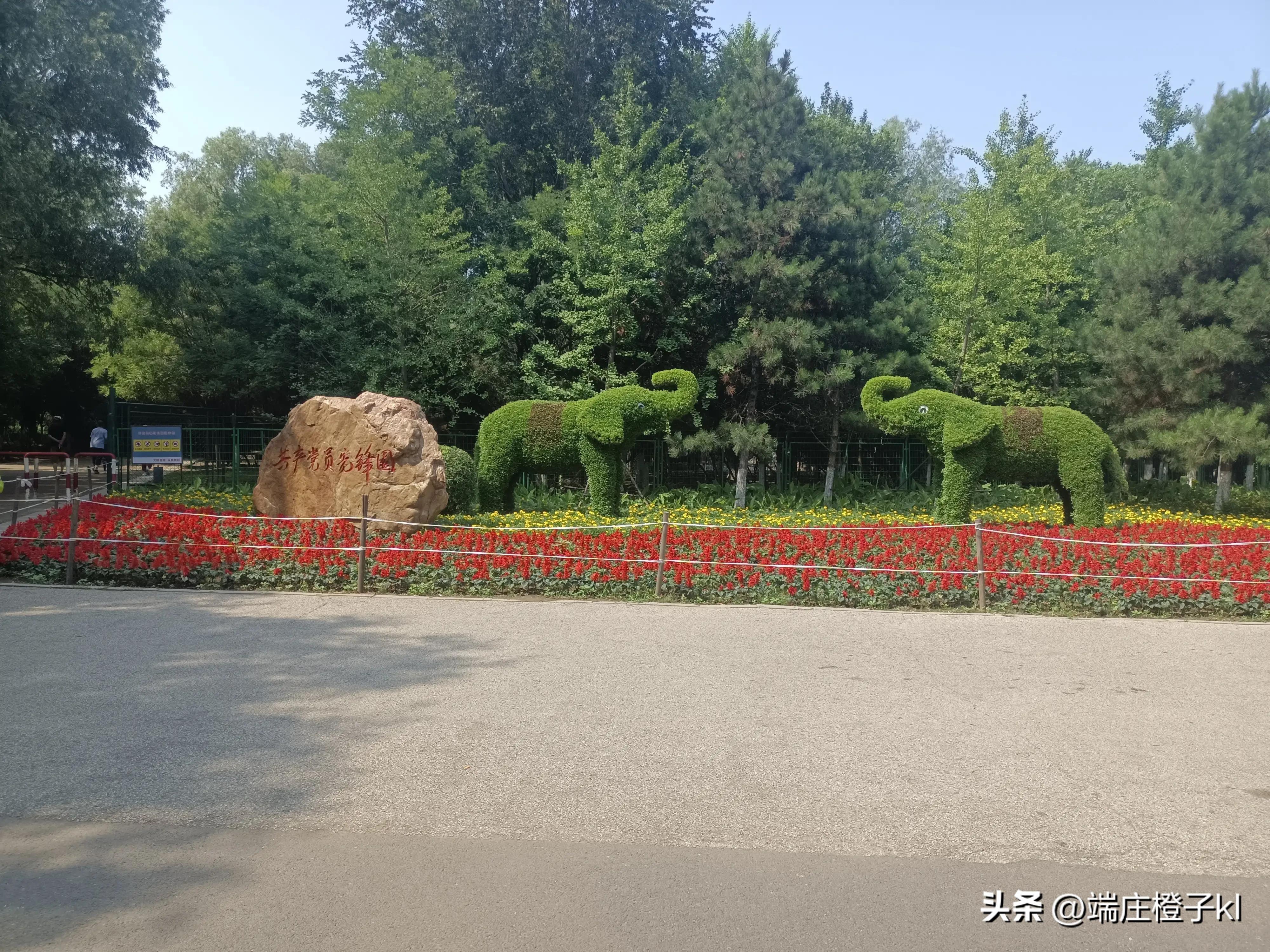 沈阳长白岛森林公园值得去吗,沈阳周末好去处长白岛森林公园