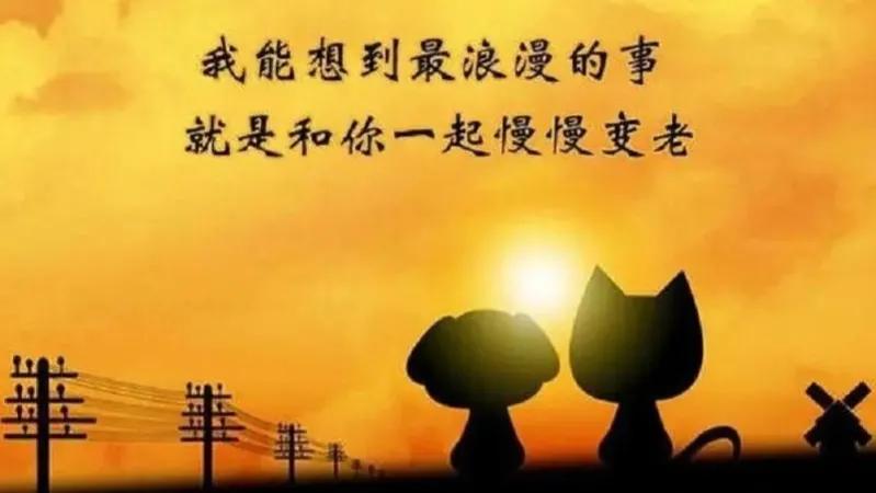 男：“老婆，情人节了，我送你一根葱。”女：“谢谢老公！”