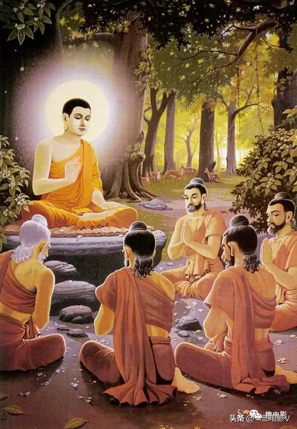 灞卞娈嬭姳,灞卞娈嬭姳楂樻竻