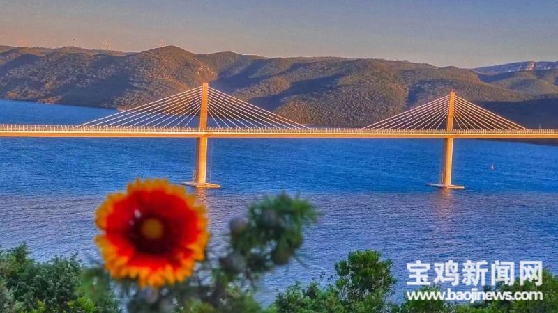 中铁宝桥大桥,中铁宝桥评价结果居全省第一