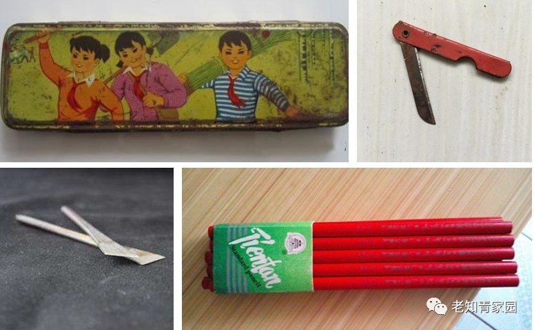 50年代的人成长经历,五十年代生人成长史