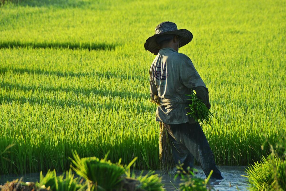 2023养老金调整通知发布了吗,养老金上调最新消息天津市