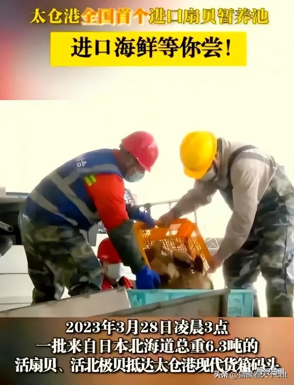 日本海鲜禁止进口范围,日本海鲜禁止进口是不是真的