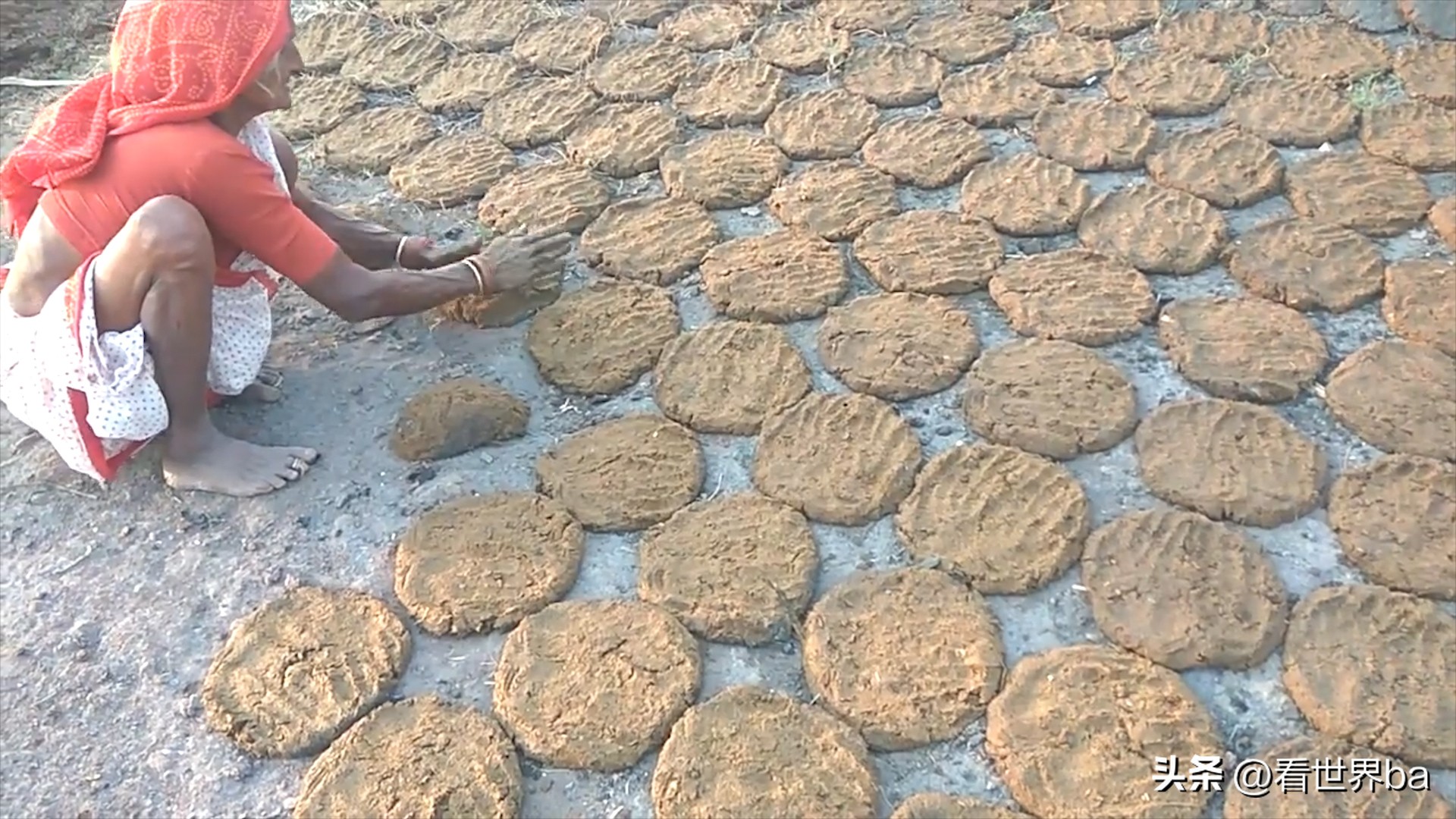 印度牛粪饼多少钱一只,印度牛粪饼一盒205元经常卖到脱销