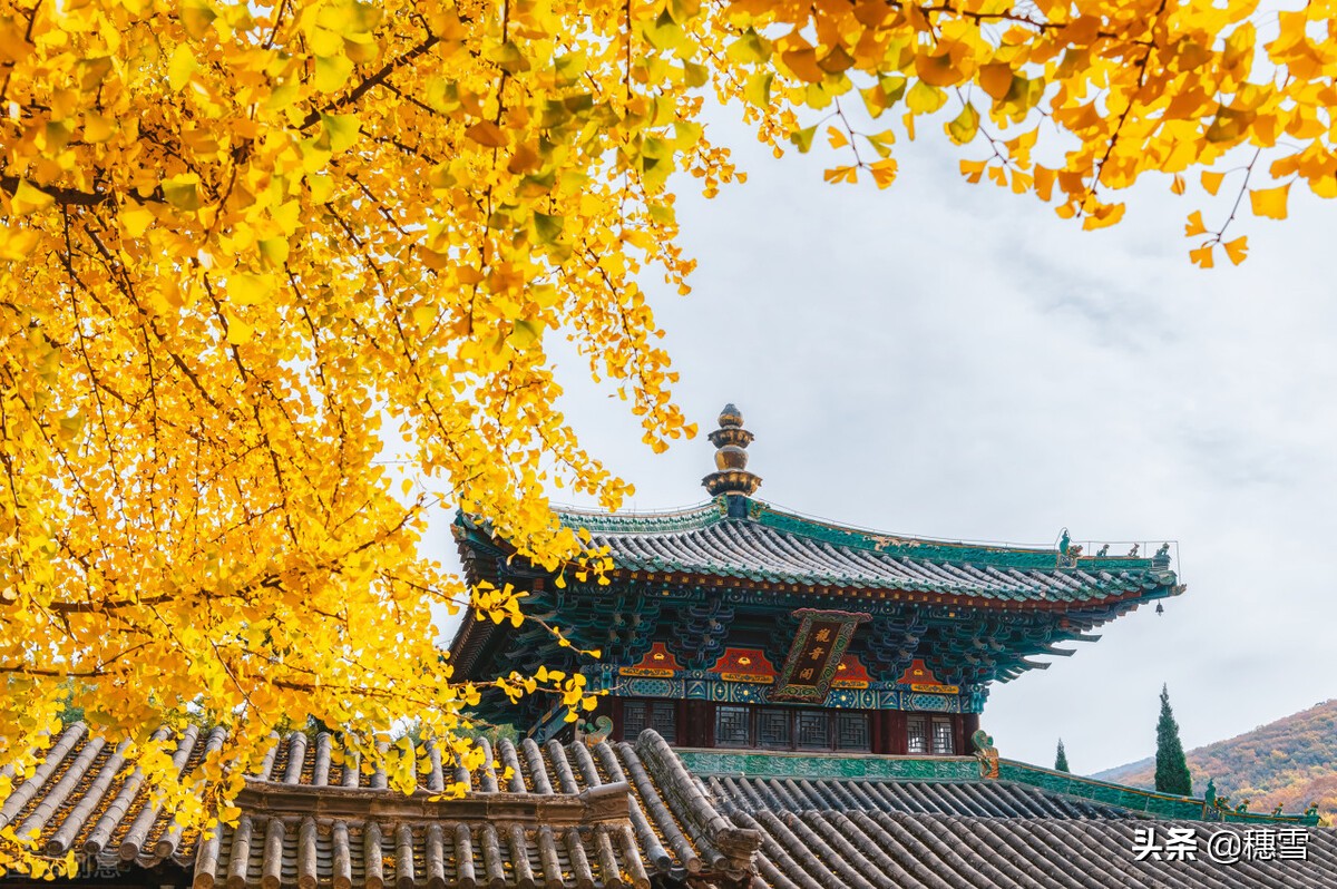 熟人借钱怎么拒绝不得罪人,别人借钱给你如何高情商回复