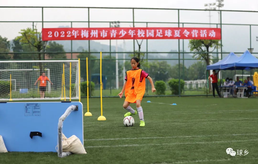 省运会游泳体能测试,省运会游泳直播在线观看