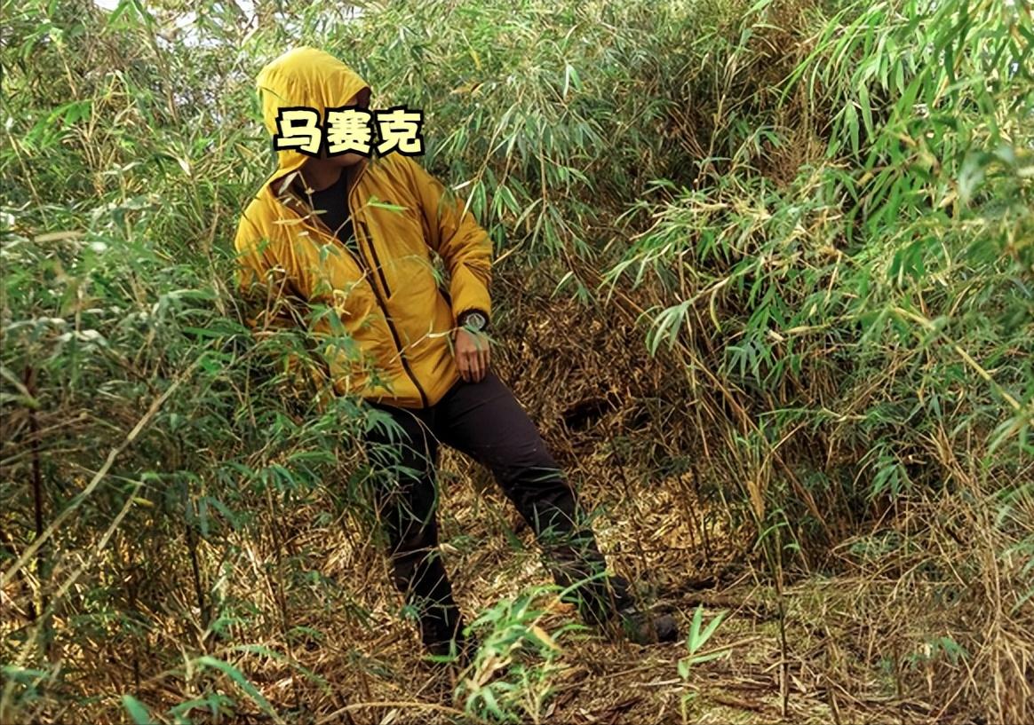 山系户外棉服推荐,始祖鸟和山浩哪个好