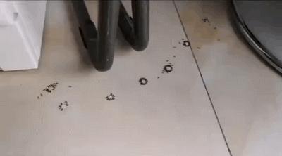 不小心打碎了老婆的护肤品，怎么办？别慌，网友们给你出了好主意