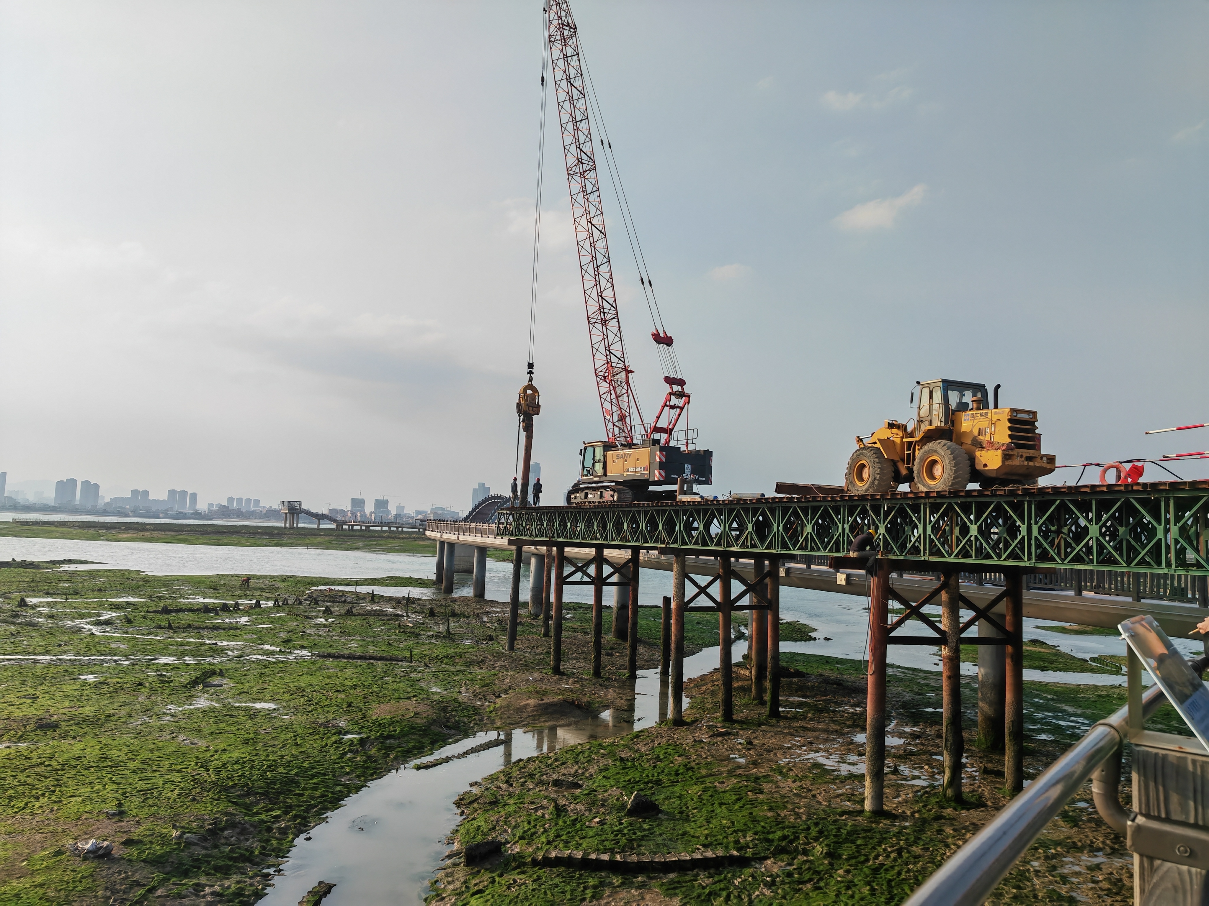 厦门下潭尾红树林湿地公园木栈道,厦门红树林湿地公园游玩攻略