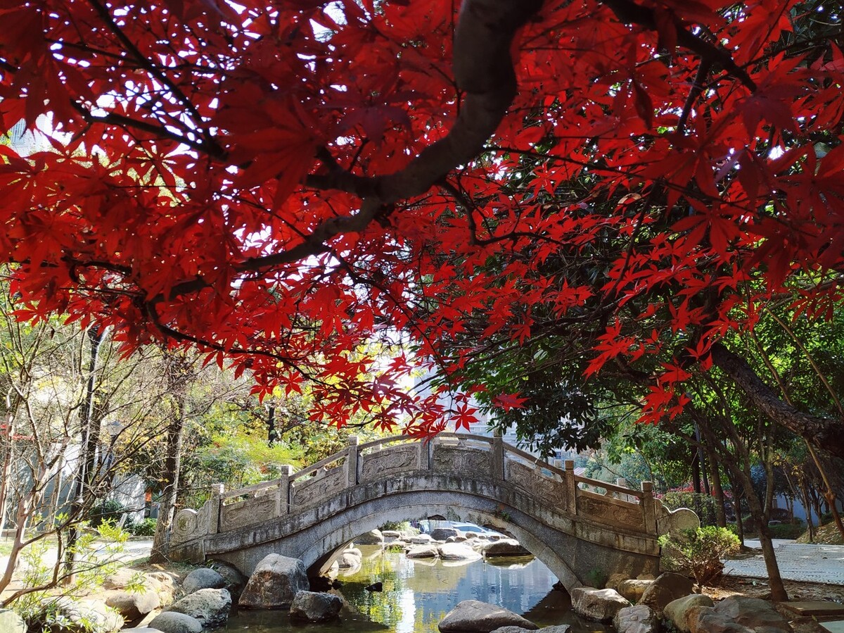 部编版九上语文目录,送东阳马生序原文