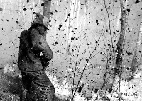 北大荒知青生活叙事诗——北大荒“游击词”100篇