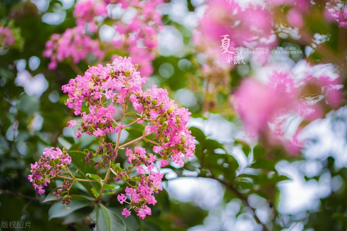 女朋友喝醉后被人睡了，男友该怎么面对他？