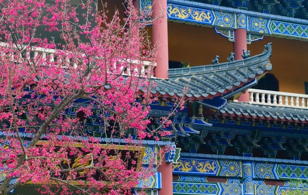 这些韶关最值得爬的山，你登过几座？