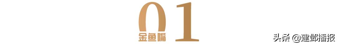 精准招商产业聚合发展,精准招商与构建产业集群