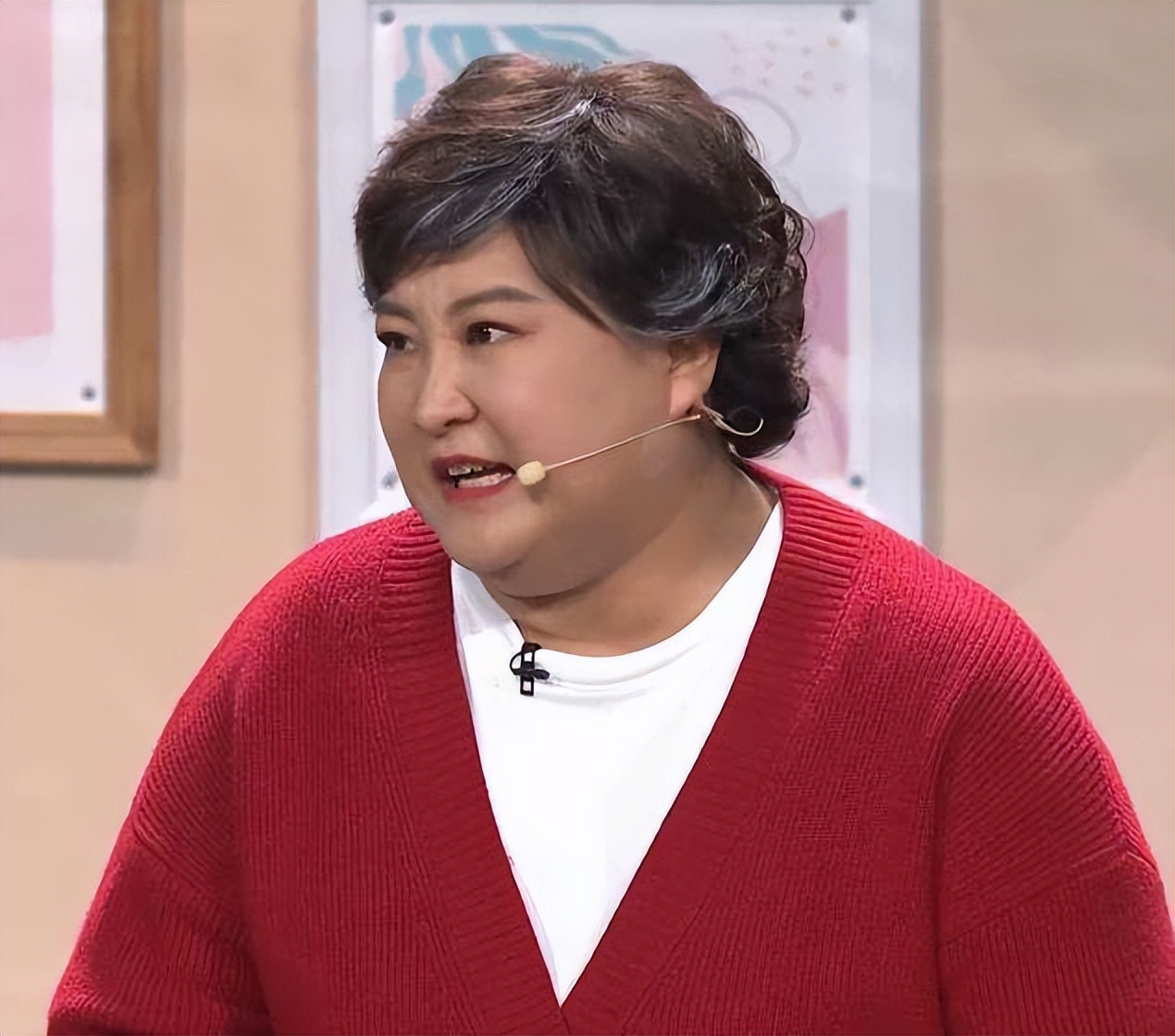 李冰冰姐妹花在娱乐圈打拼靠什么,十对明星姐妹