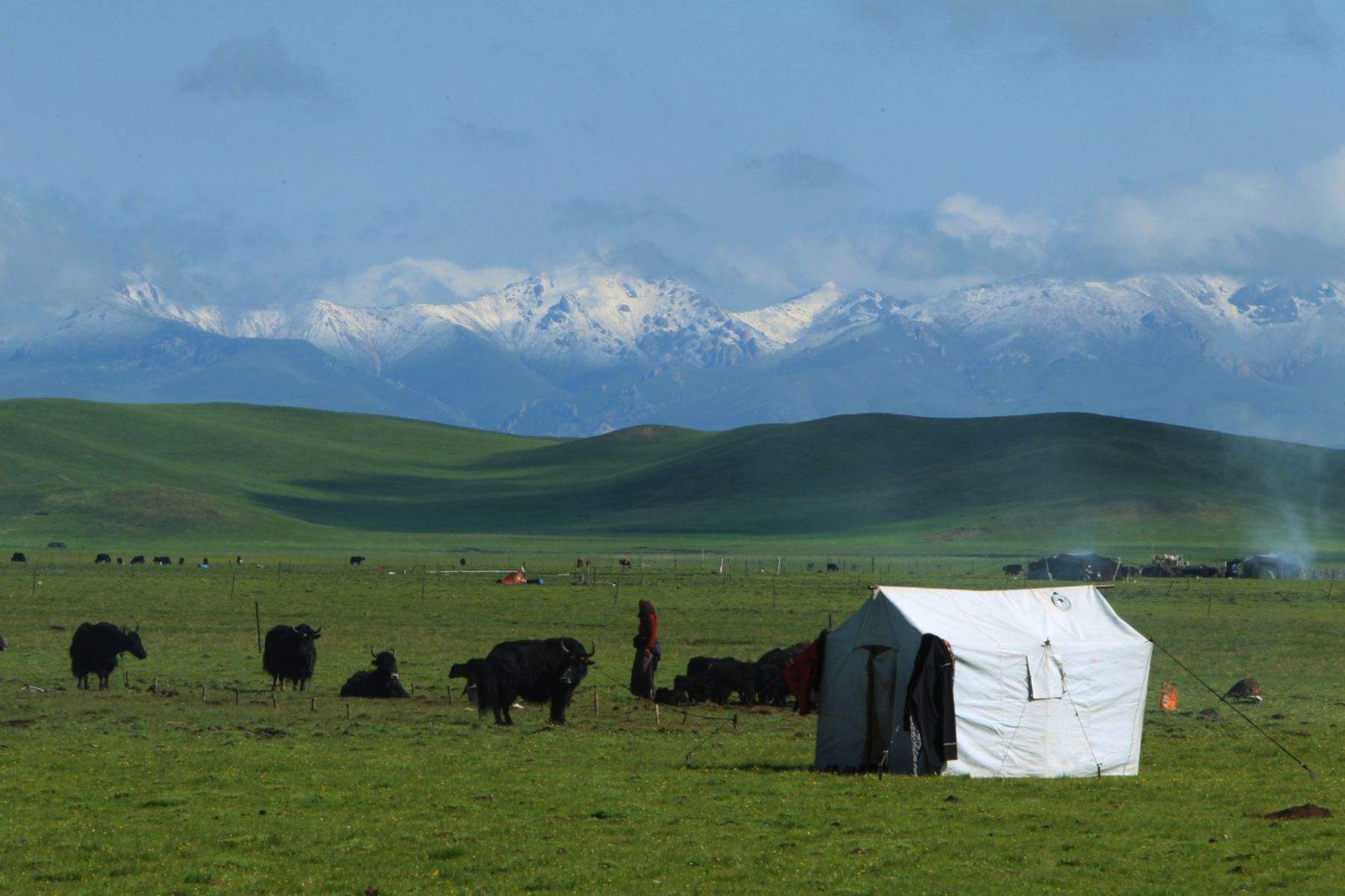 当年红军过草地怎么过的,以前红军吃草根
