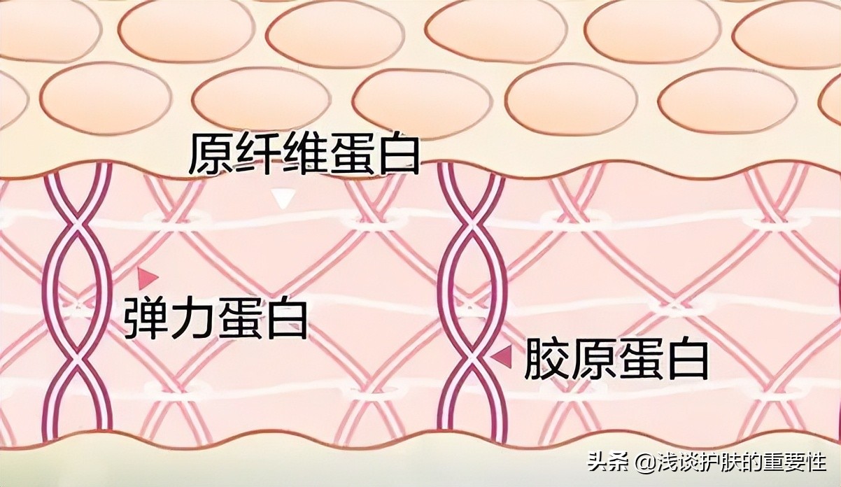 面部饱满最有效的方法,让面部变白细腻水润的方法