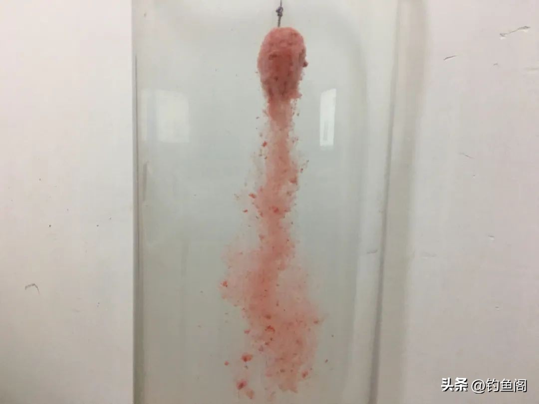 钓鲢鳙你必须知道的事儿,钓鲢鳙的方法和注意事项