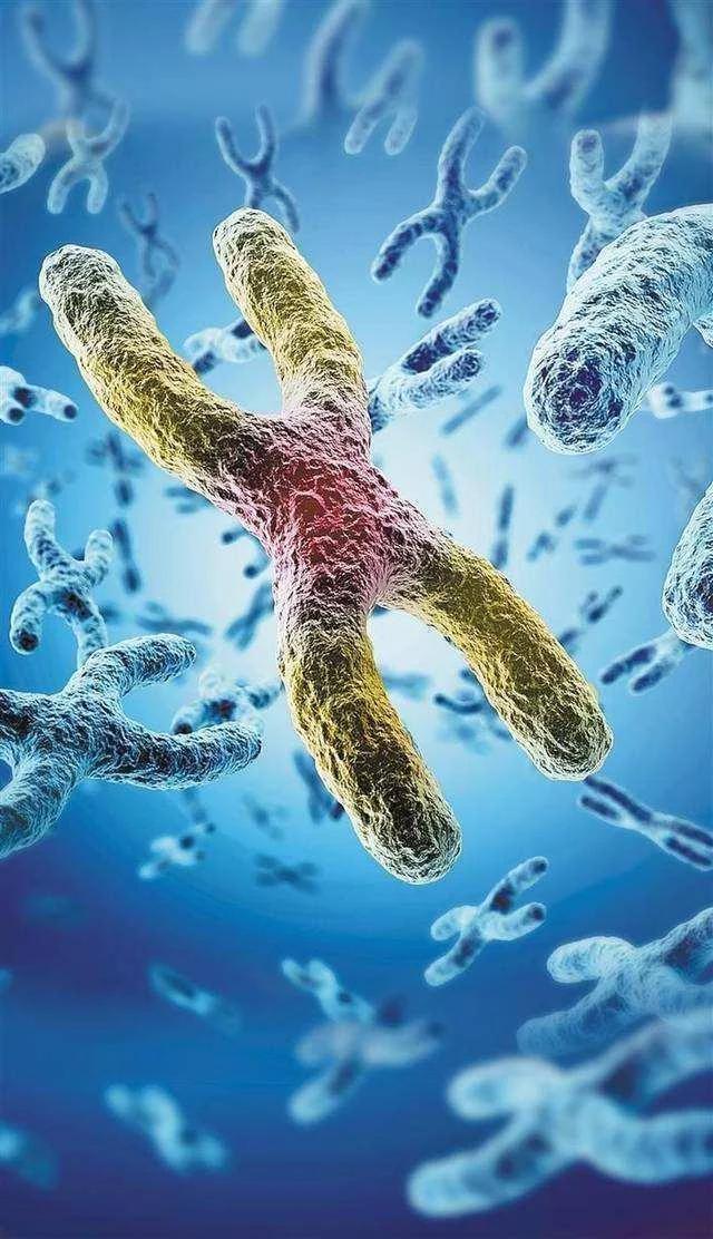 地球上的生命是如何诞生的，你知道吗？