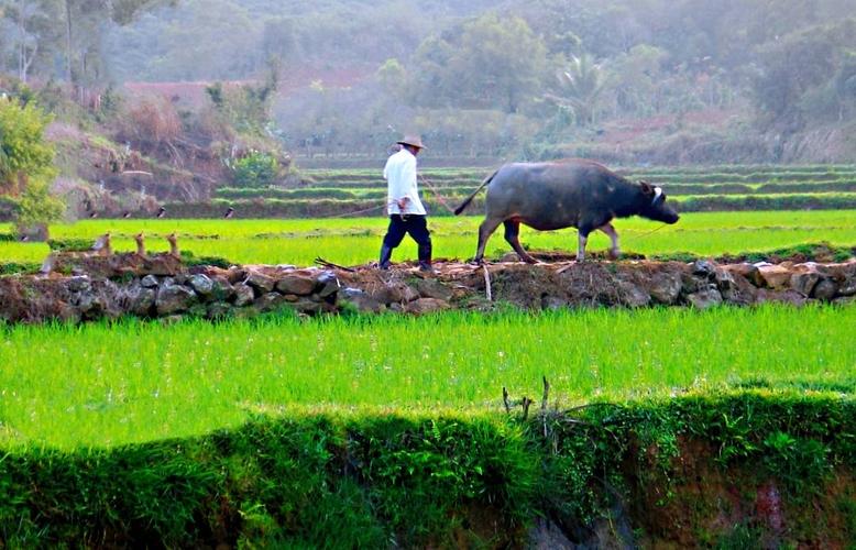 联合国评选出的幸福指数最高的五大国家，有哪些？我们在第几？