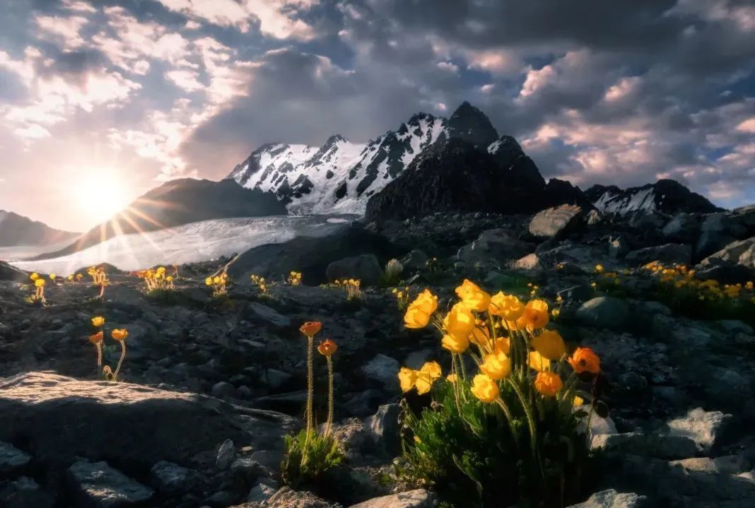 洱海论坛日程,2023洱海论坛开幕