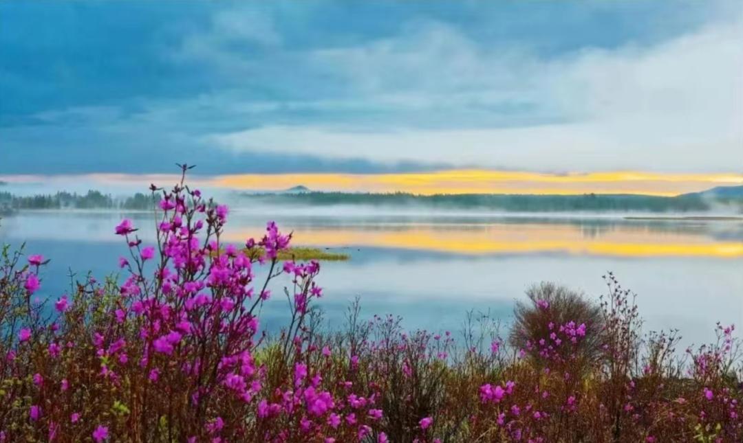 买买买！阿尔山邀你来体验海淘购物快乐！