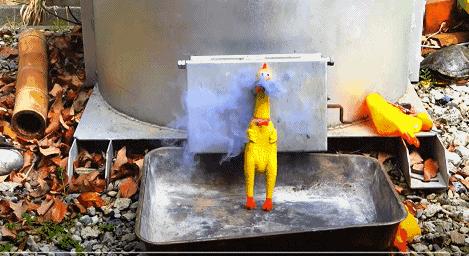 在搞鸡这方面，日本人可能是最专业的