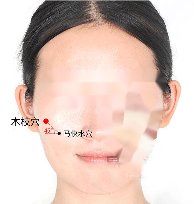 中医针灸泌尿系统疾病处方3