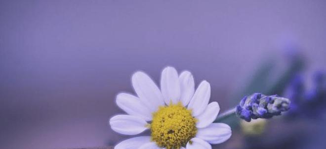 2024年红鸾星动的星座,2020红鸾星动星座