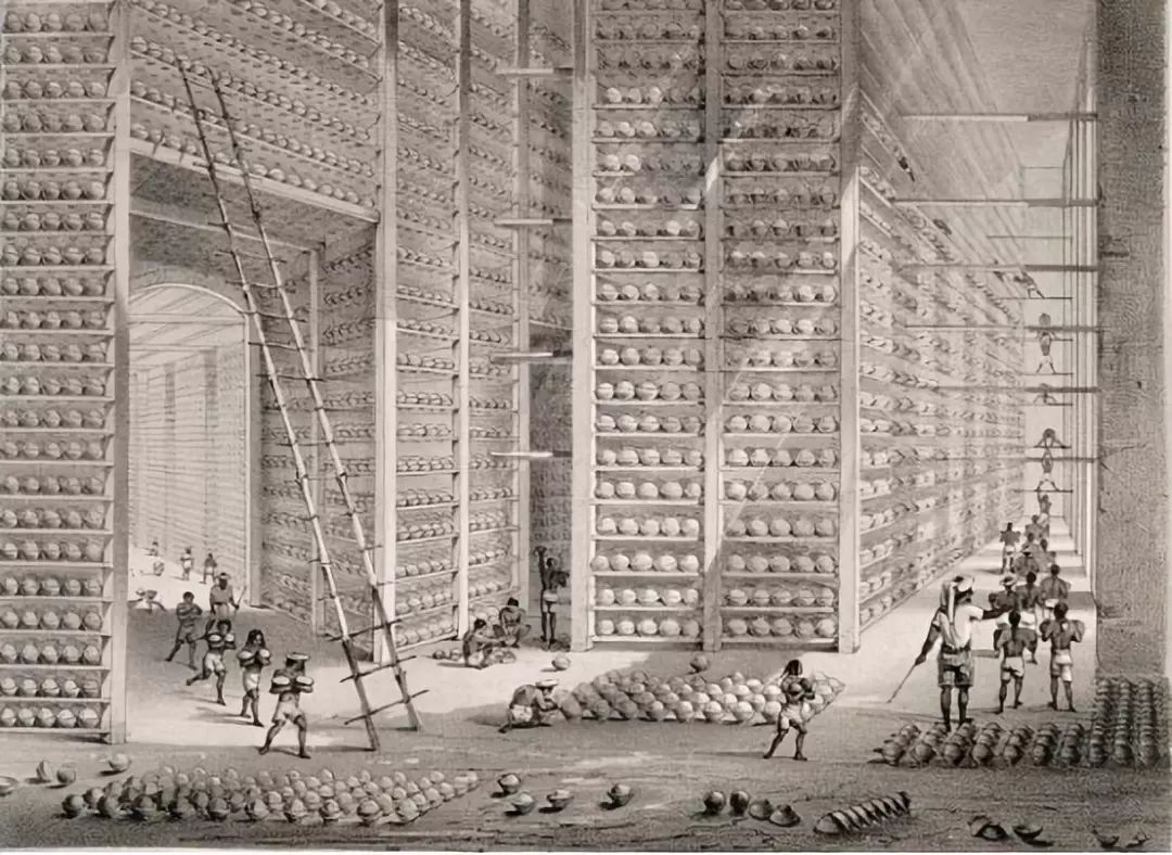 帝国主义列强政治侵略,帝国主义列强内容